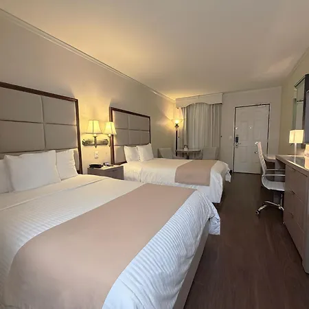 Safi Royal Luxury Centro-3